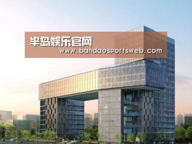 案例展示四(图1)