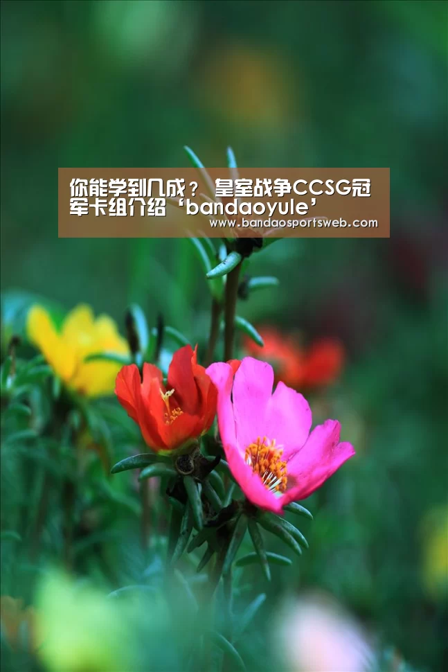 你能学到几成? 皇室战争CCSG冠军卡组介绍‘bandaoyule’(图2) 你能学到几成? 皇室战争CCSG冠军卡组介绍‘bandaoyule’(图2)