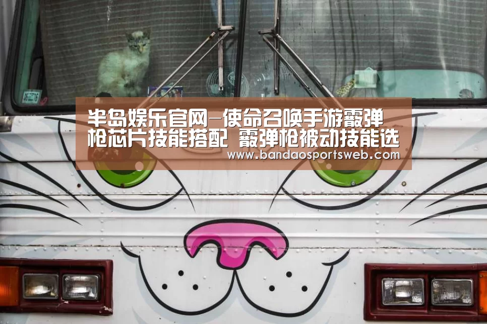 半岛娱乐官网-使命召唤手游霰弹枪芯片技能搭配 霰弹枪被动技能选择(图1) 半岛娱乐官网