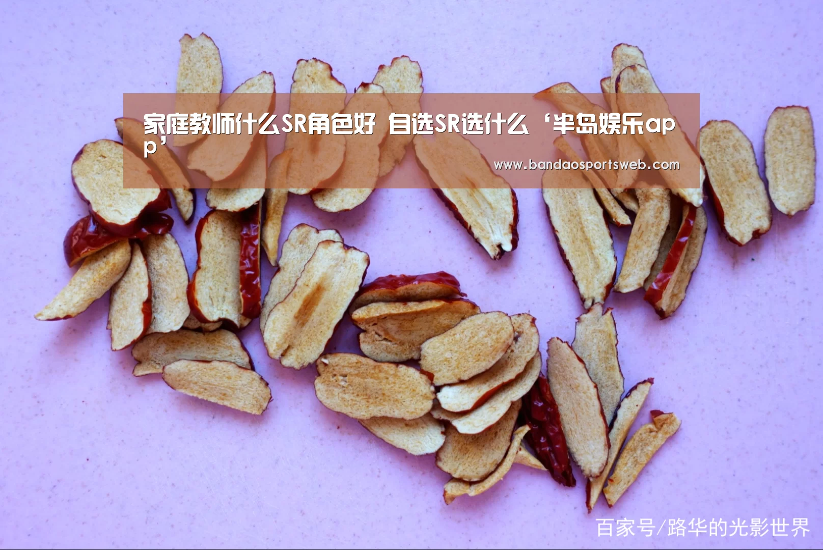 家庭教师什么SR角色好 自选SR选什么‘半岛娱乐app’(图2) 半岛娱乐app