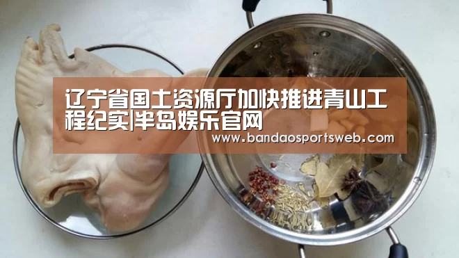 辽宁省国土资源厅加快推进青山工程纪实|半岛娱乐官网(图4) 半岛娱乐官网