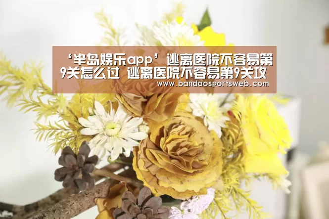 半岛娱乐官网