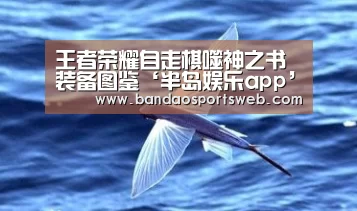 王者荣耀自走棋噬神之书装备图鉴‘半岛娱乐app’(图1)