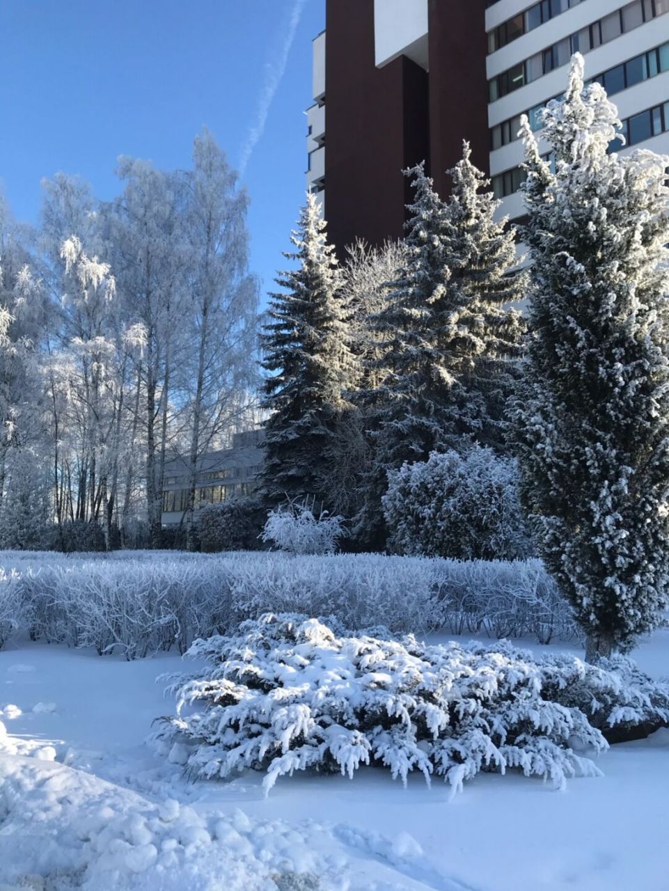 白俄罗斯选手在雪地上展现实力